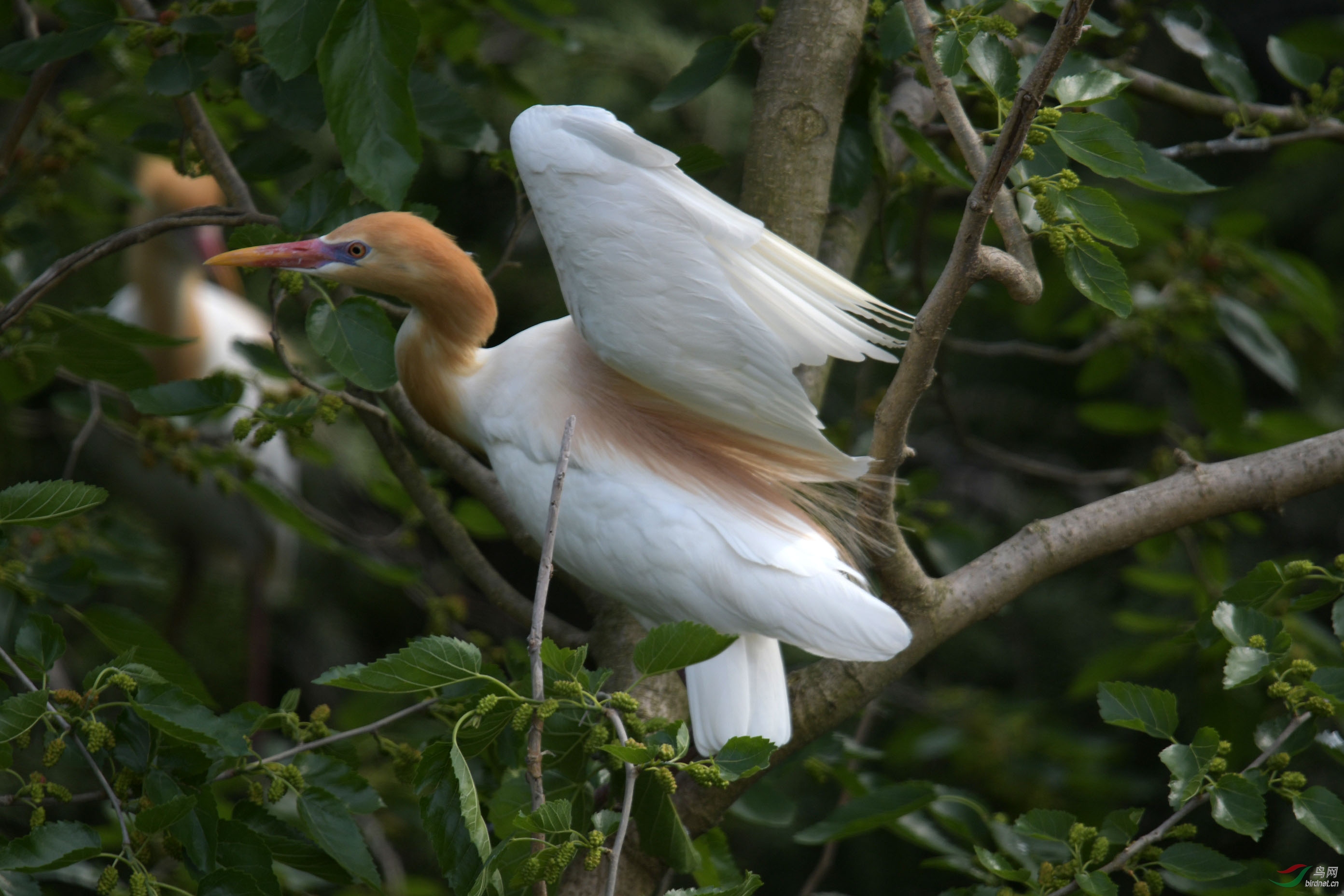 D50_2061.jpg