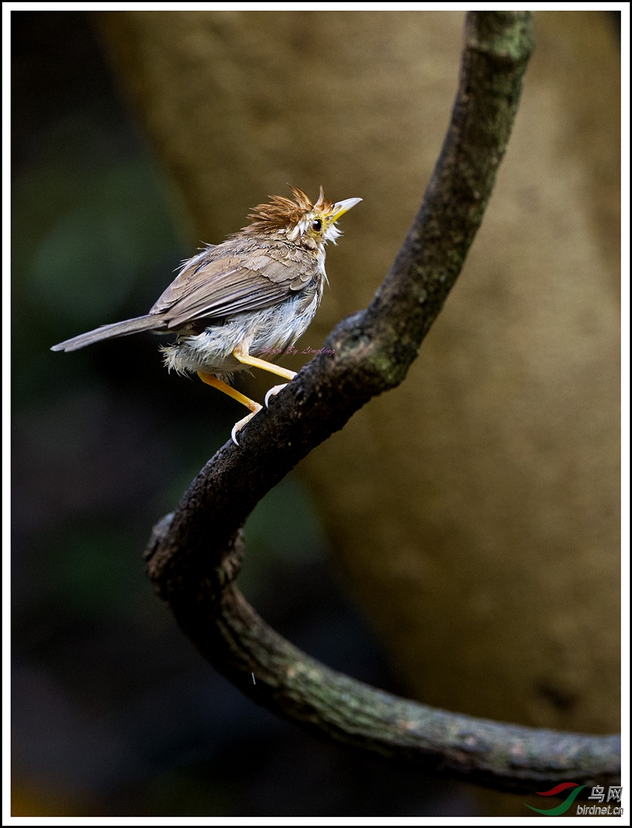 DSC_4366.jpg