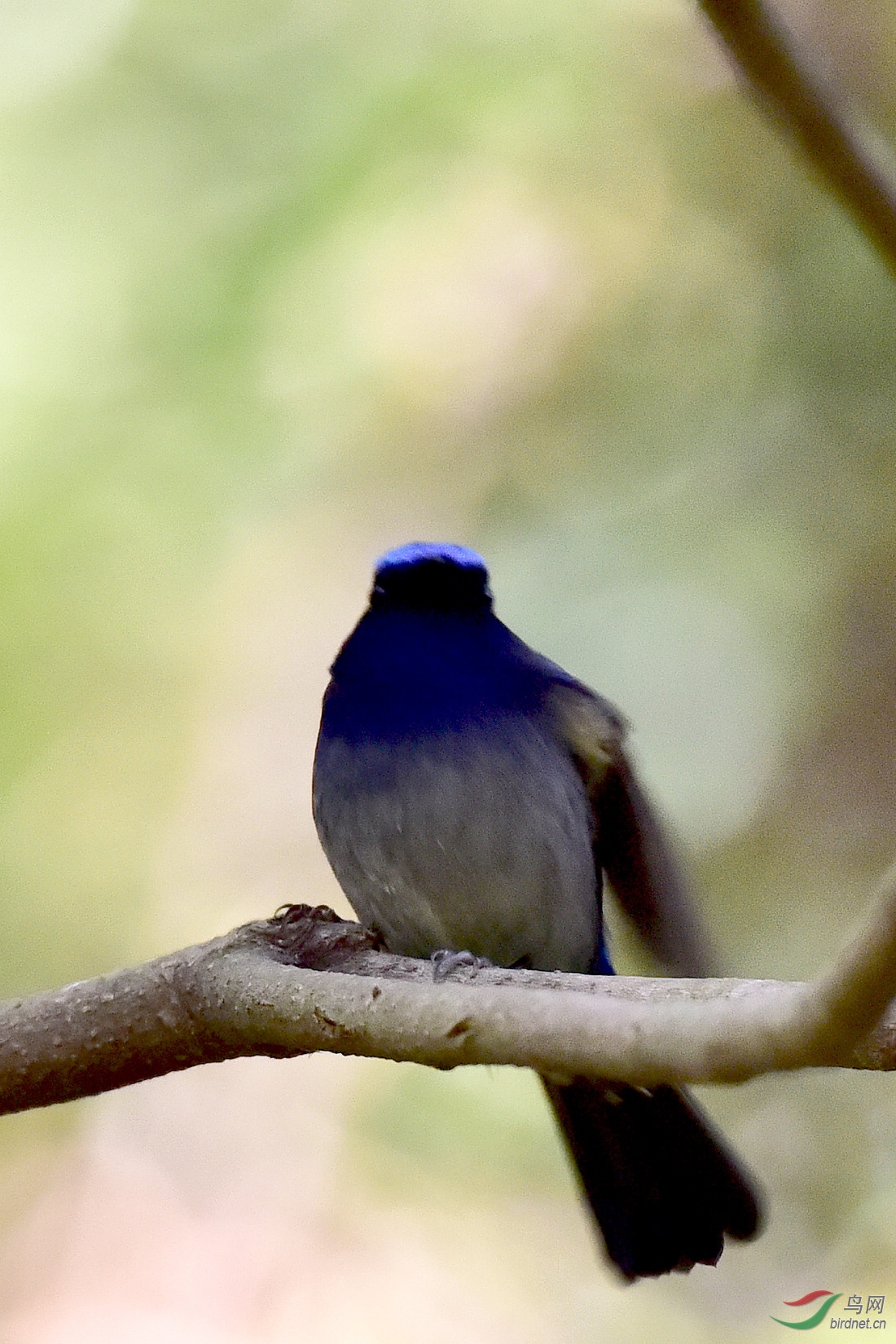DSC_0601.JPG