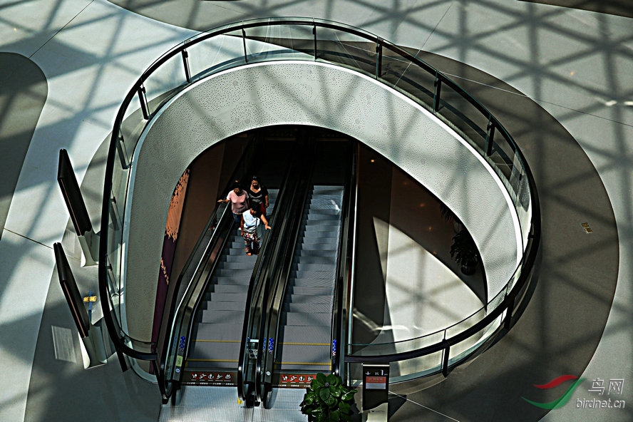 8J6A8117_����_����.jpg
