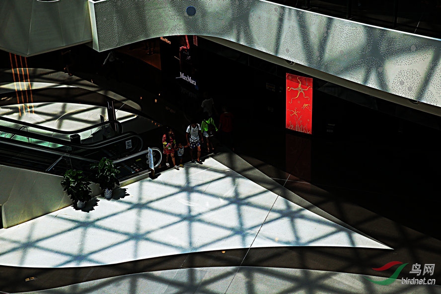 8J6A8119_����_����.jpg