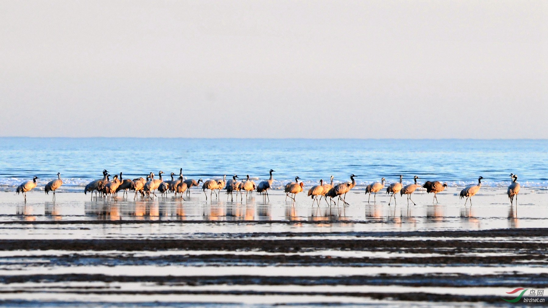 DSC_4563 _����_����.jpg