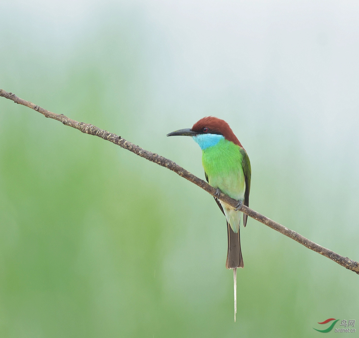 D72_0660.jpg