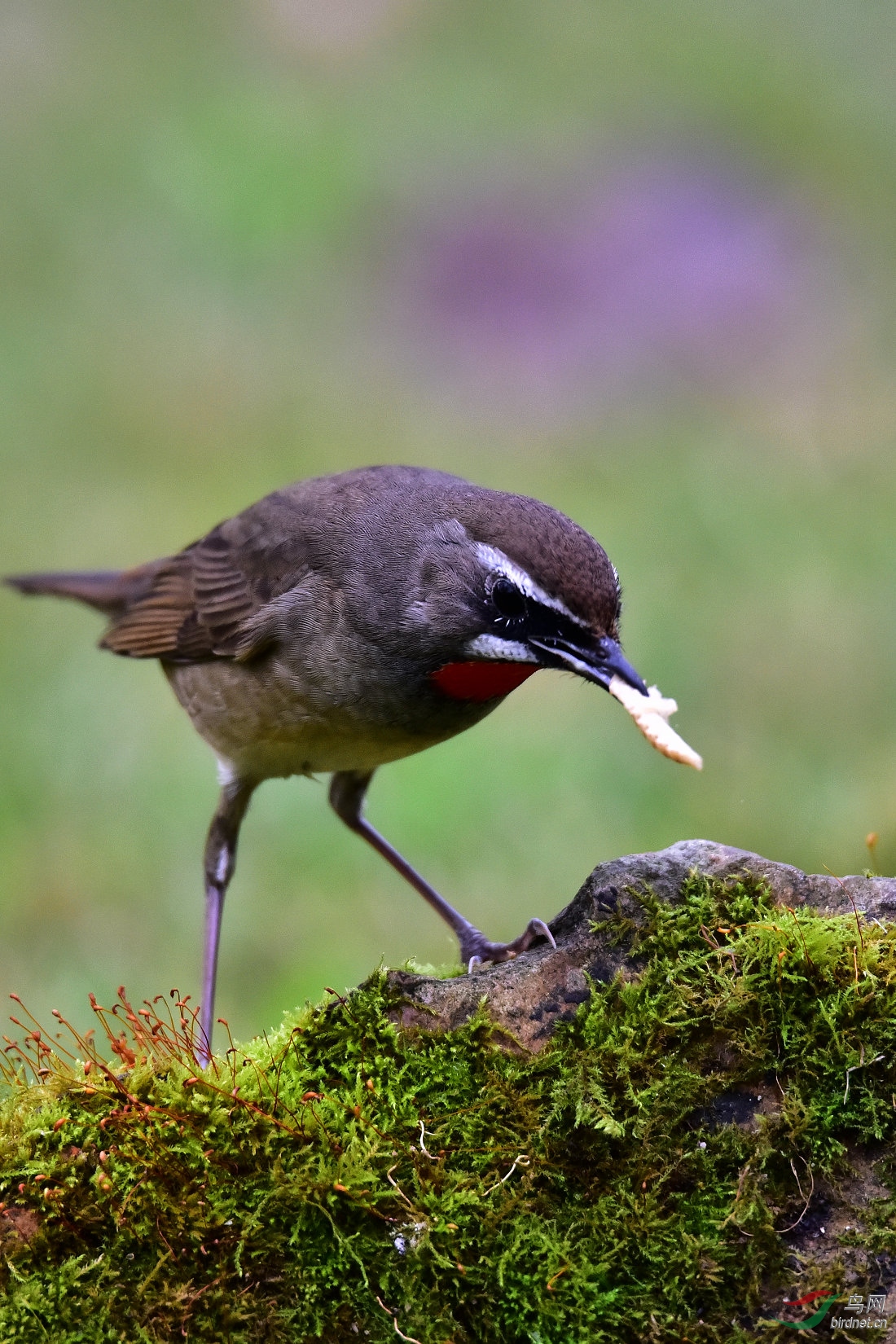 DSC_0613.JPG