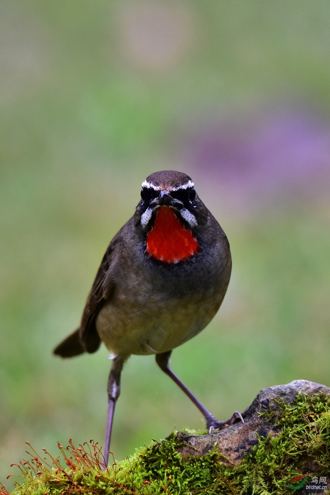 DSC_0615.JPG