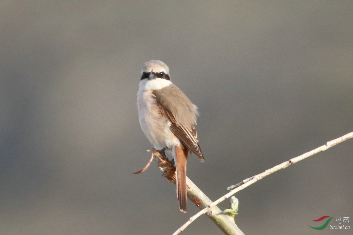 5,6����β������