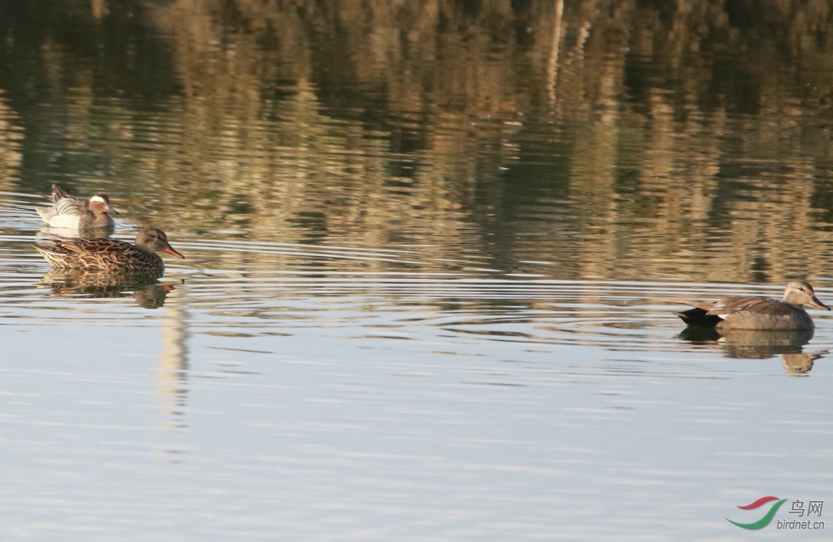 7�ǳ��Ѽ�Ͱ�üѼ��