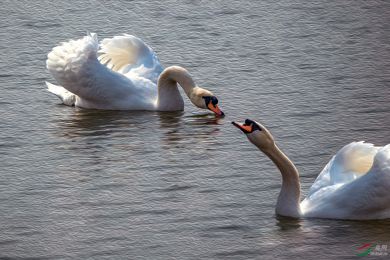 _DSC6551aw.jpg