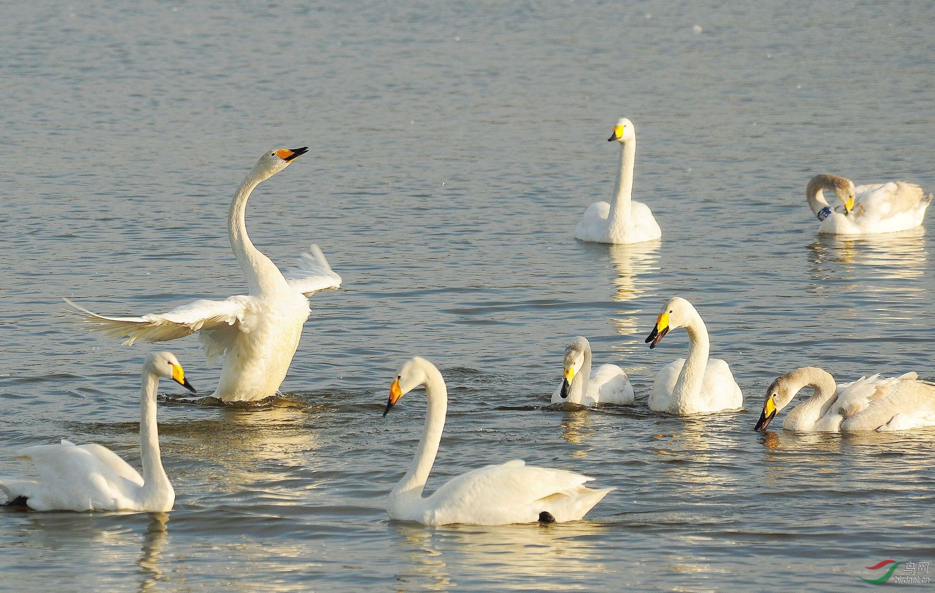 DSC_7373.JPG