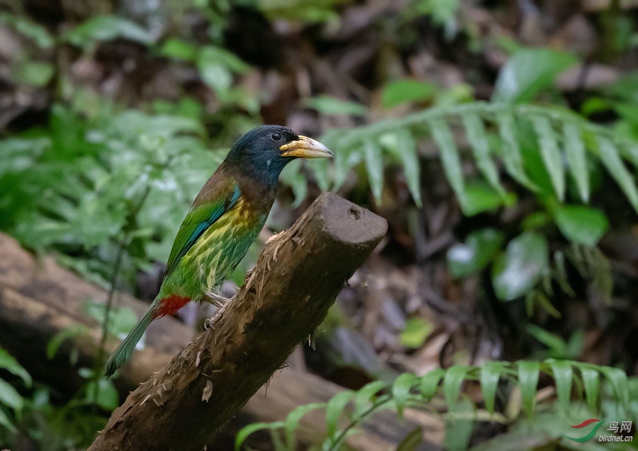 DSC_5396.jpg