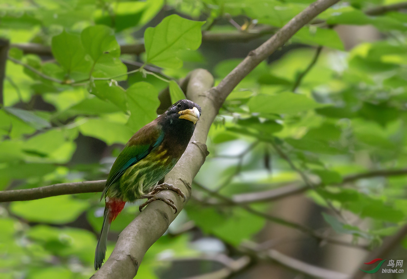 DSC_5626.jpg