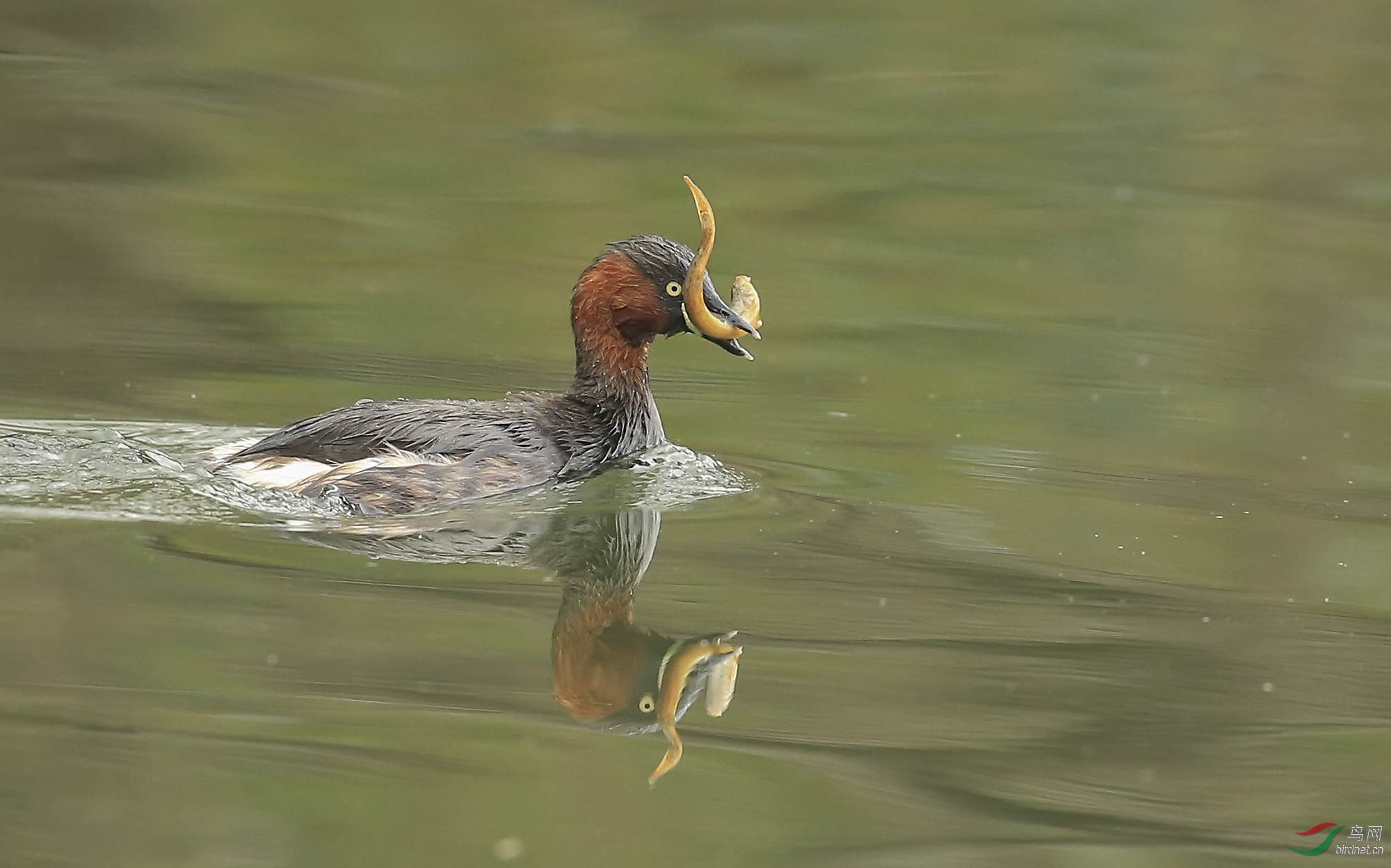 4m������- (8).jpg