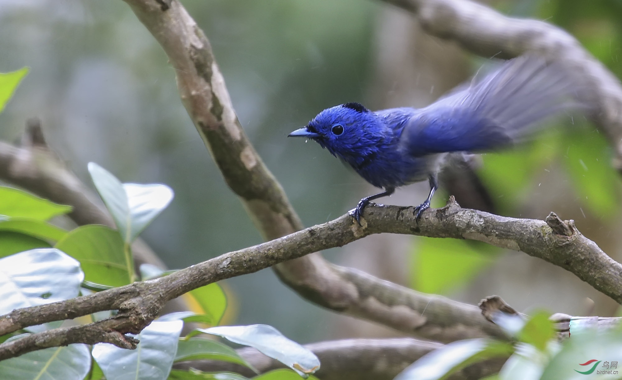 �������l (1).jpg