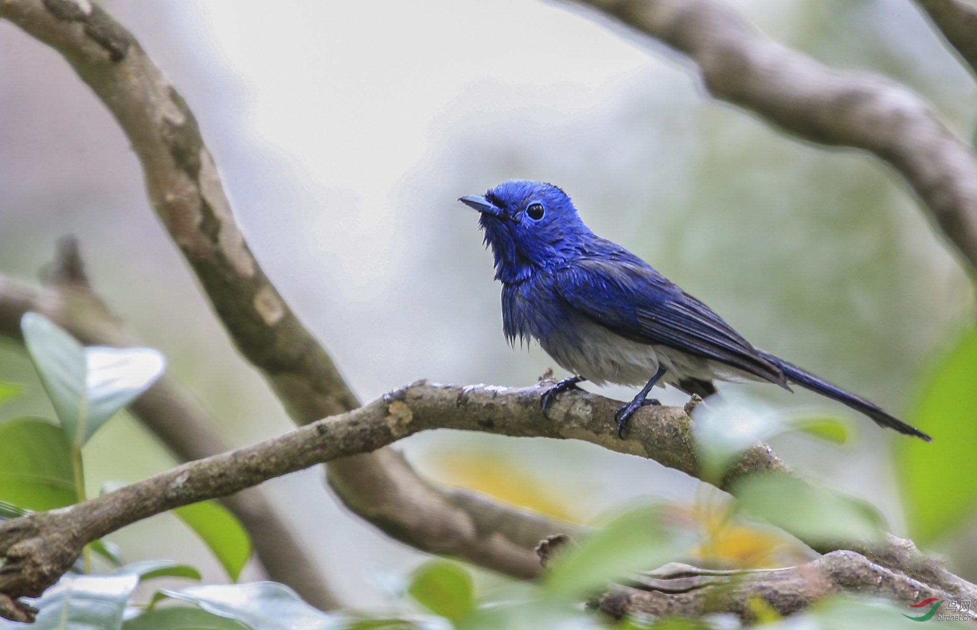 �������l (2).jpg