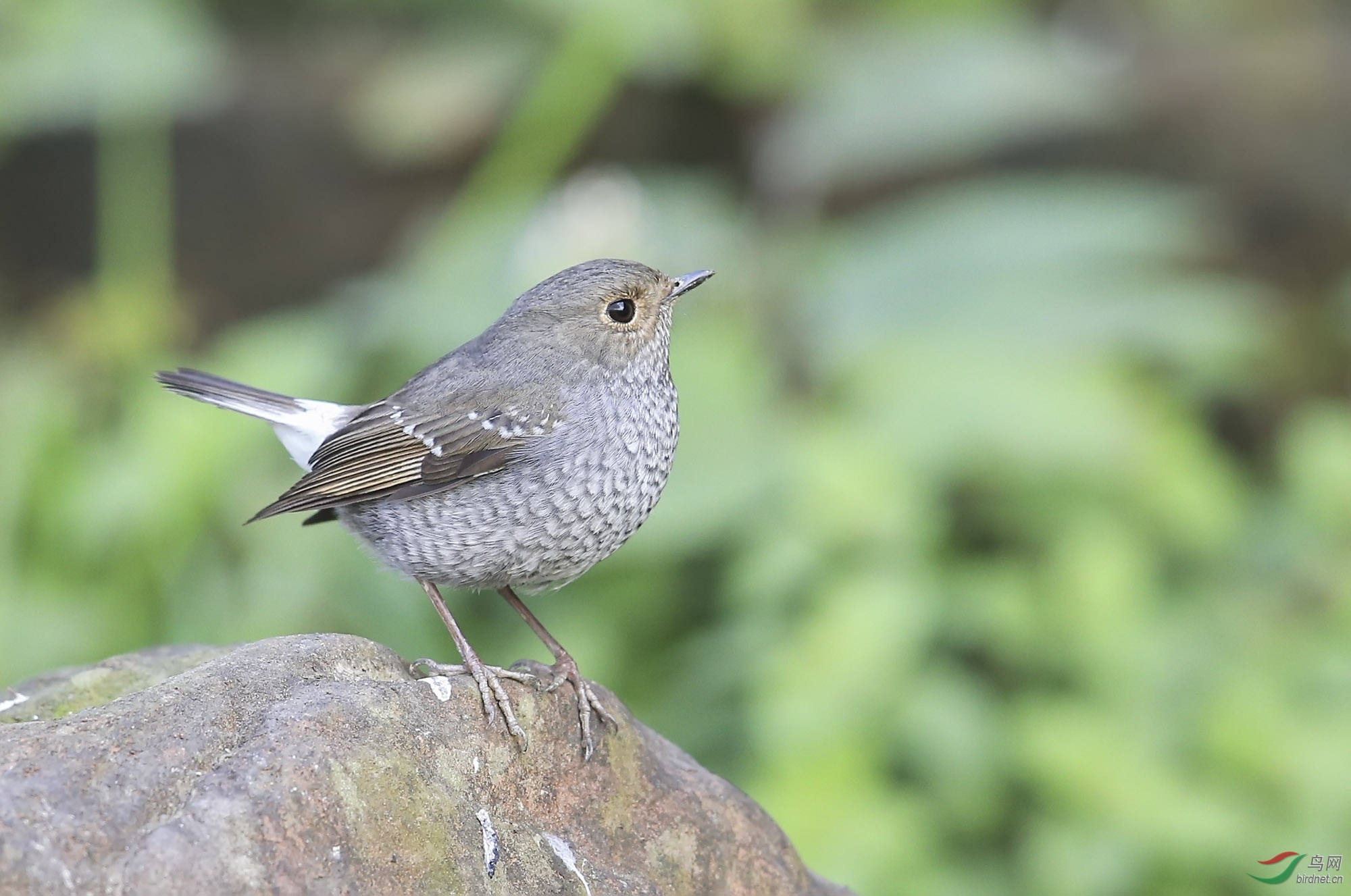 ��βˮ� (12).jpg