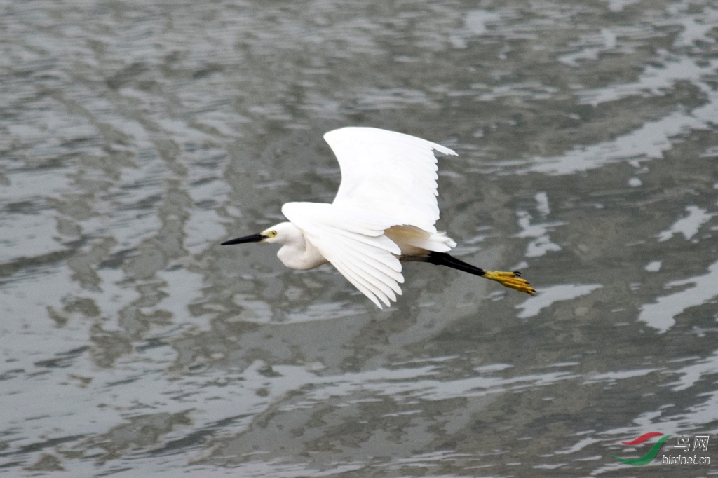 ���ŷ���