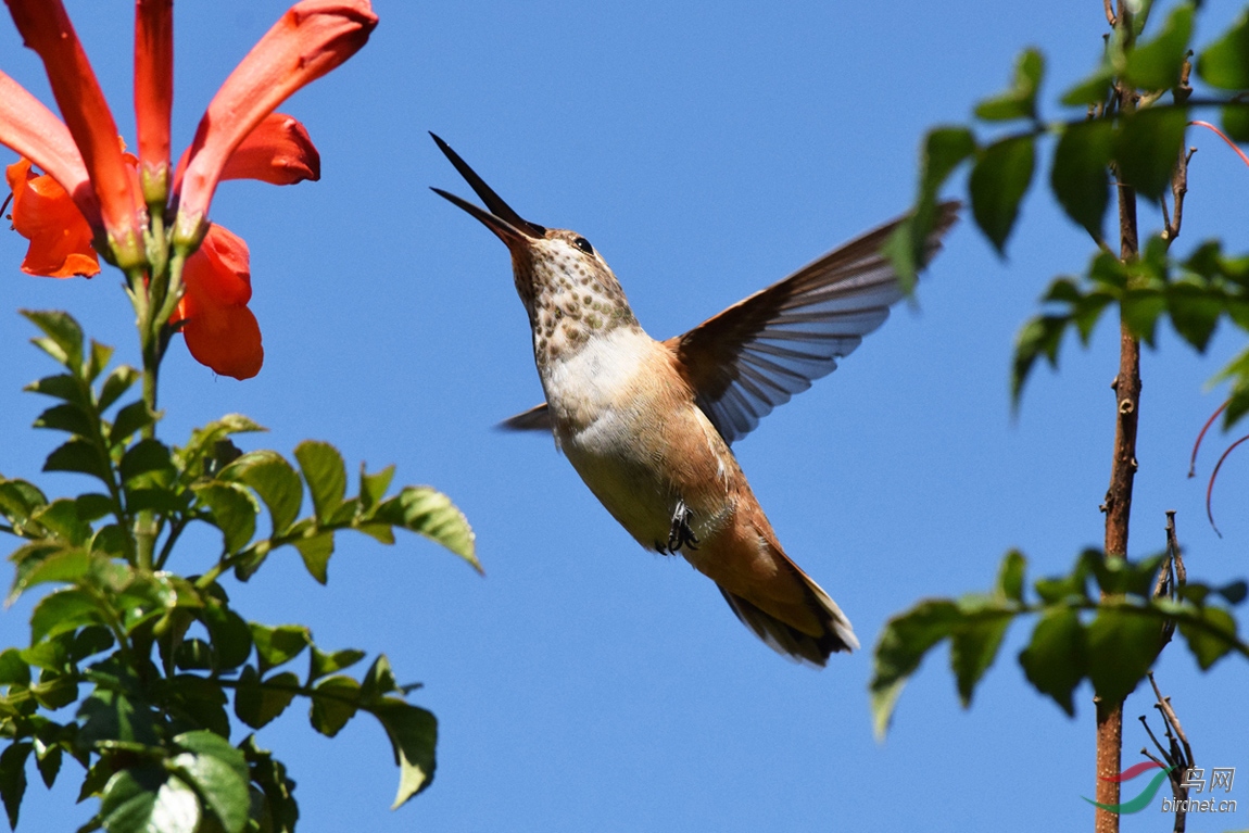 �������ķ���