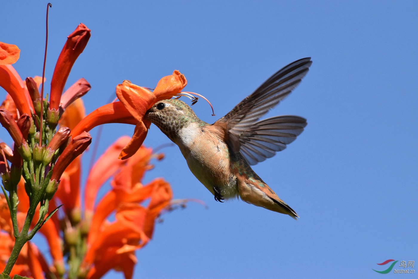 ����ʳ���۵ķ���