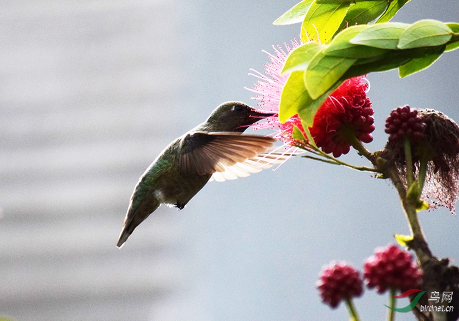 ��ʳ���۵ķ���