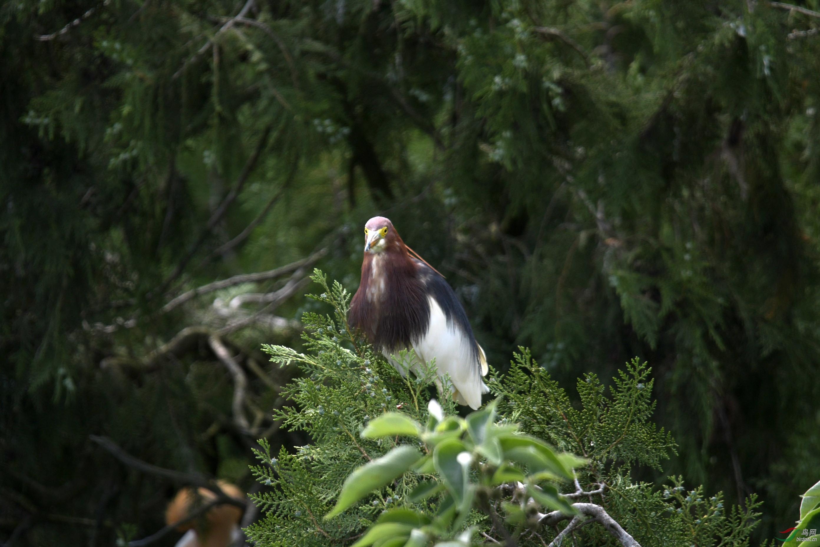 D50_2089.jpg
