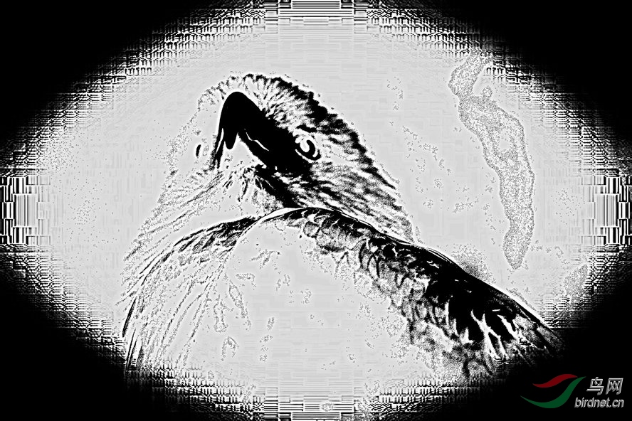 AQ1I4721_����_����1_����1_����1_����2_����.jpg