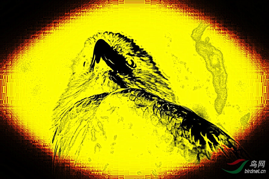 AQ1I4721_����_����1_����1_����1_����.jpg