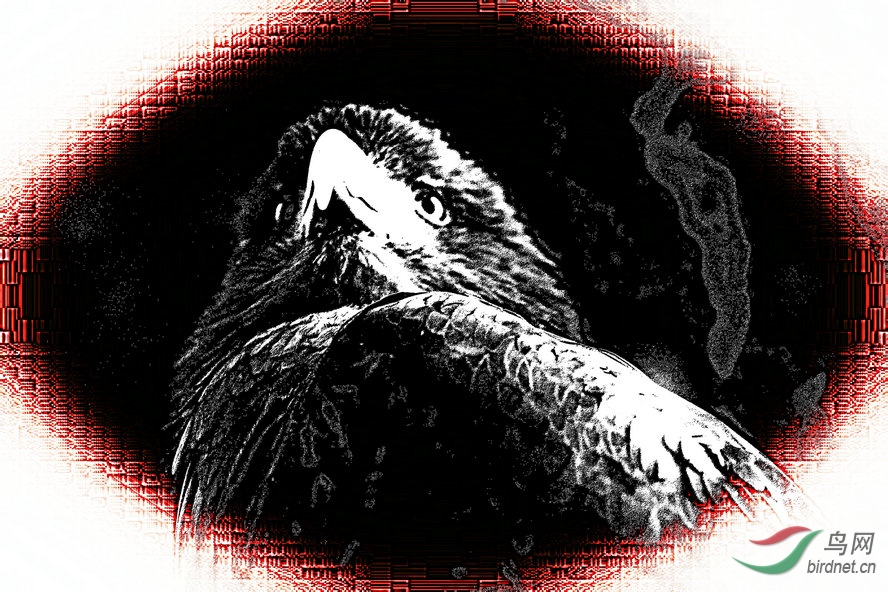AQ1I4721_����_����1_����1_����1_����1_����.jpg