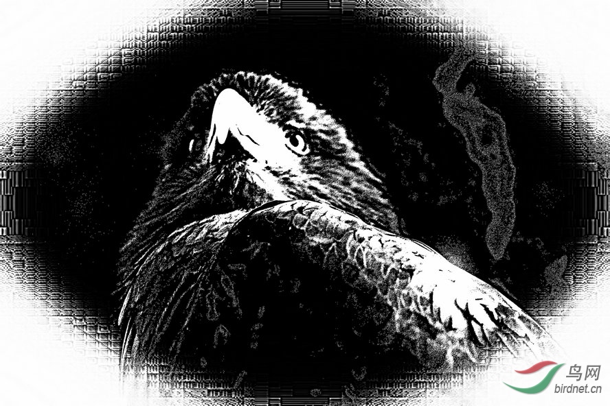 AQ1I4721_����_����1_����1_����1_����1_����1_����.jpg