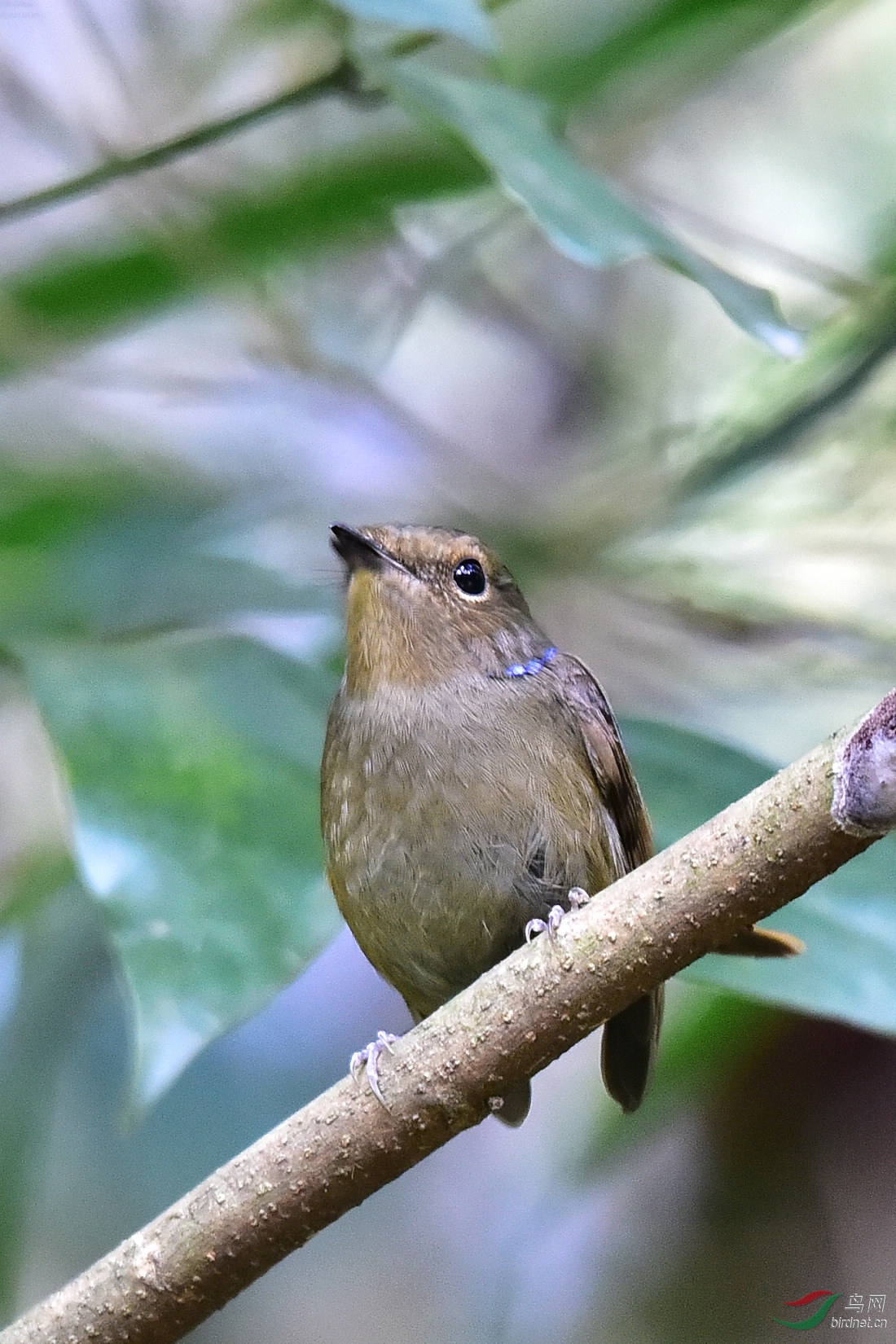 DSC_0618.JPG