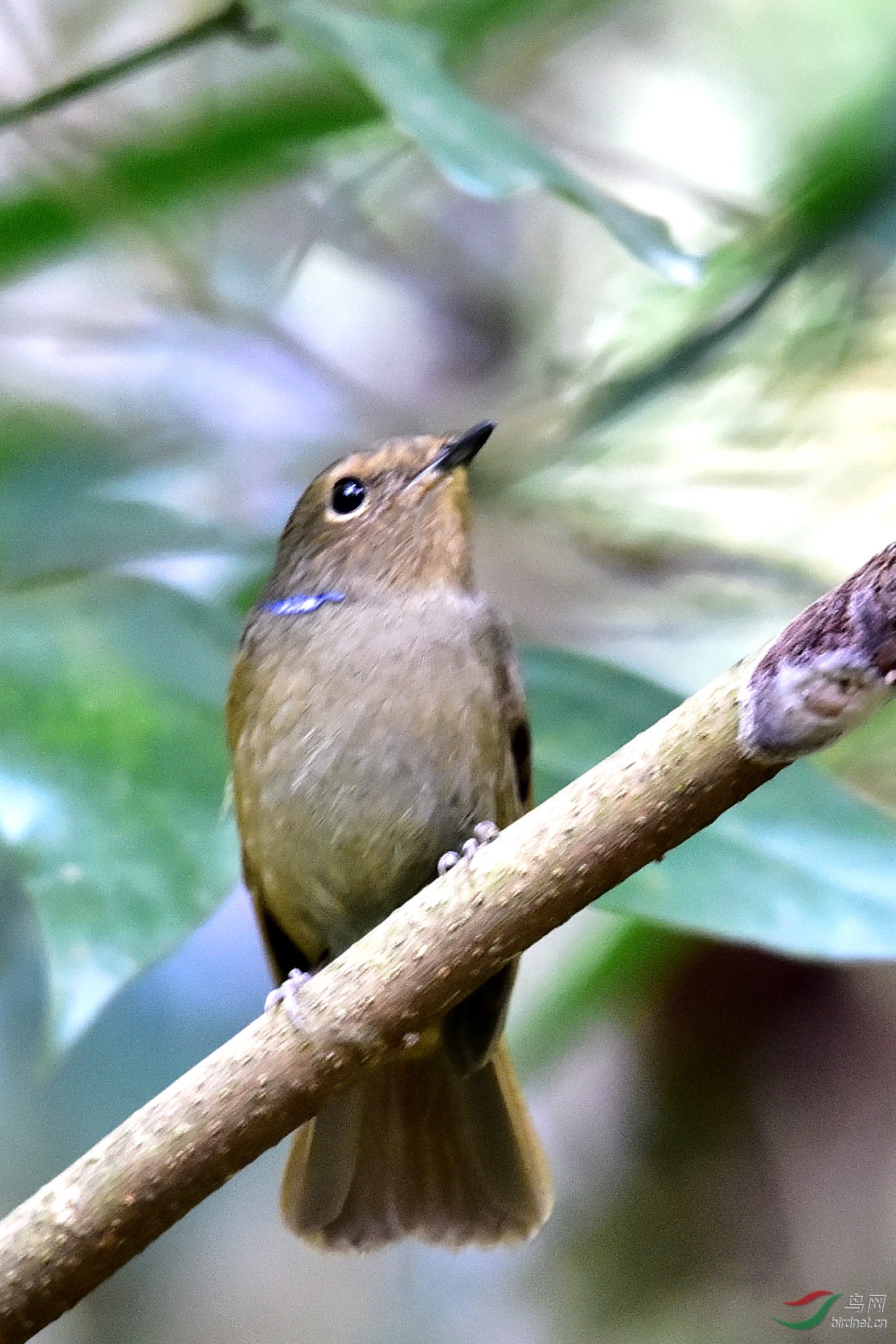 DSC_0624.JPG