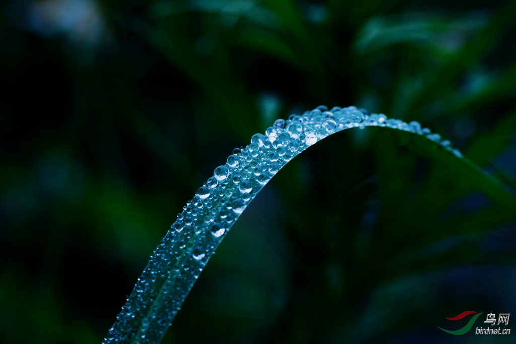 DSC_0315_����.jpg