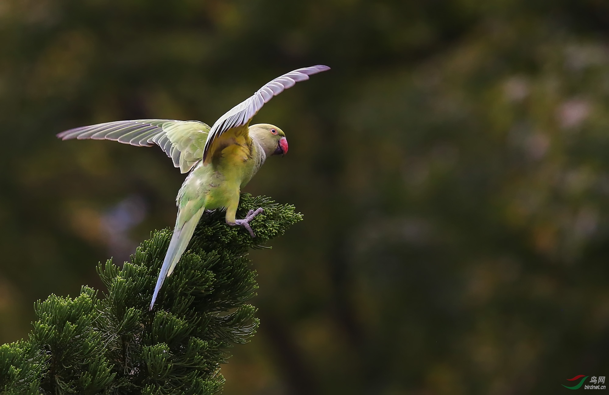 ���������� ����Ӱ����.jpg