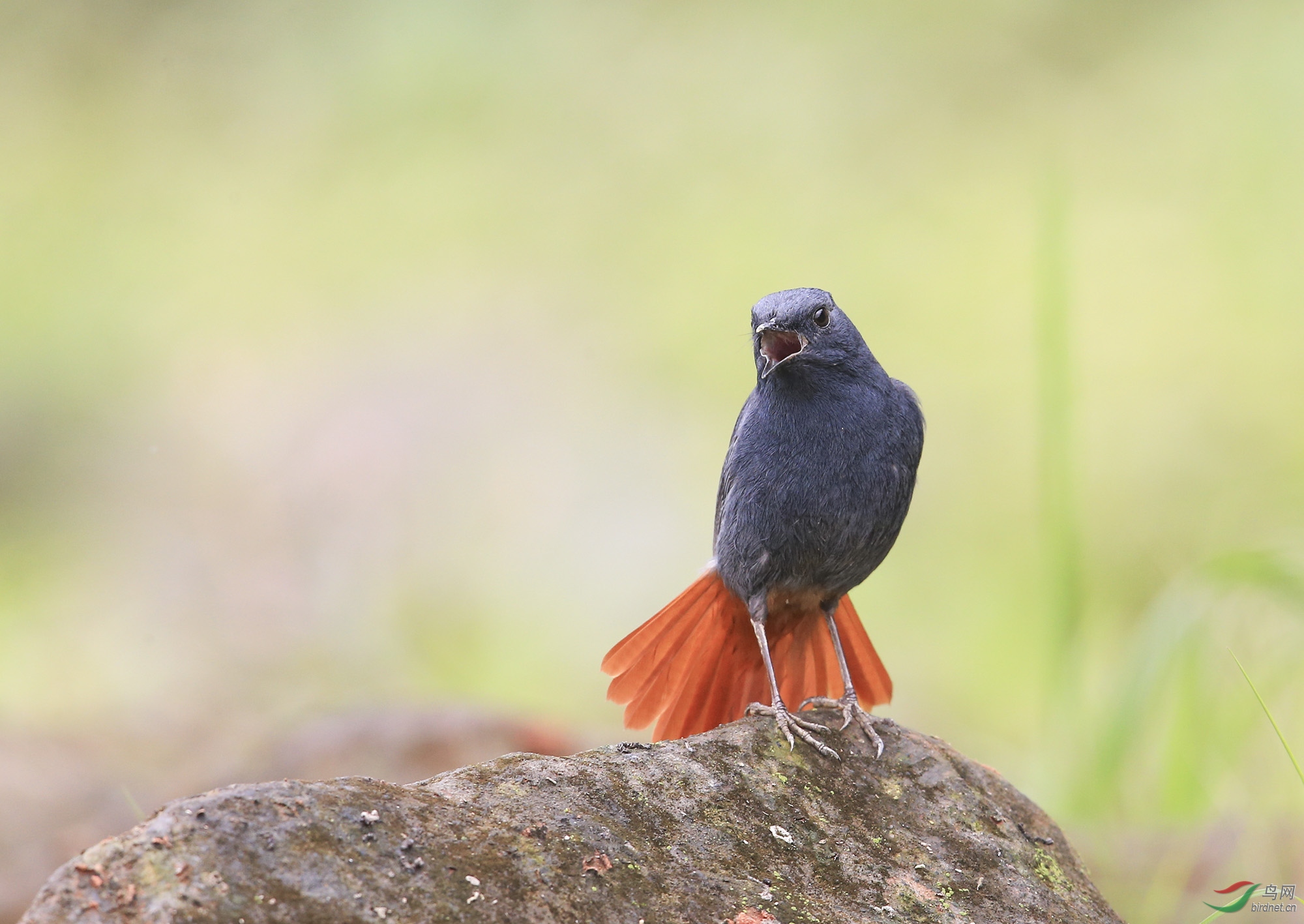 ��βˮ� (5)=��.jpg