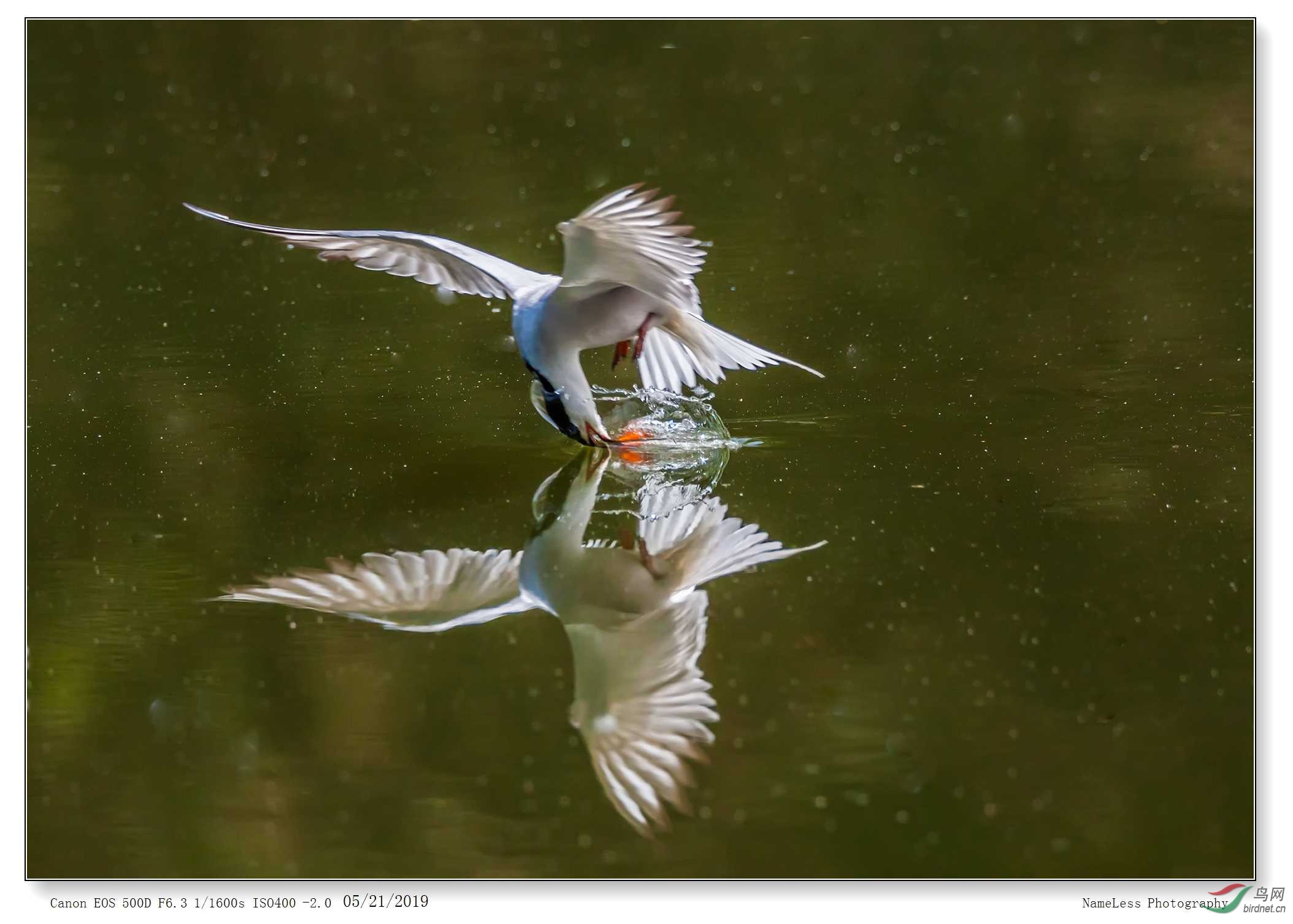 IMG_8683-2 ����.jpg