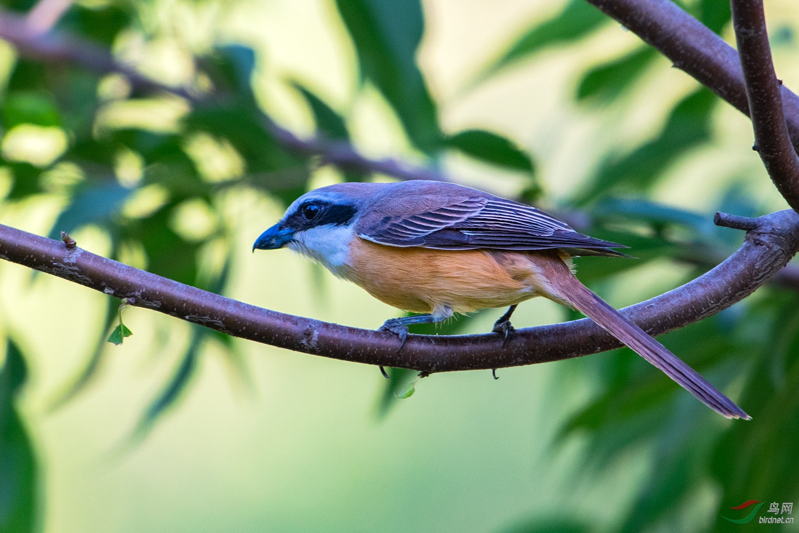 DSC_4712.jpg