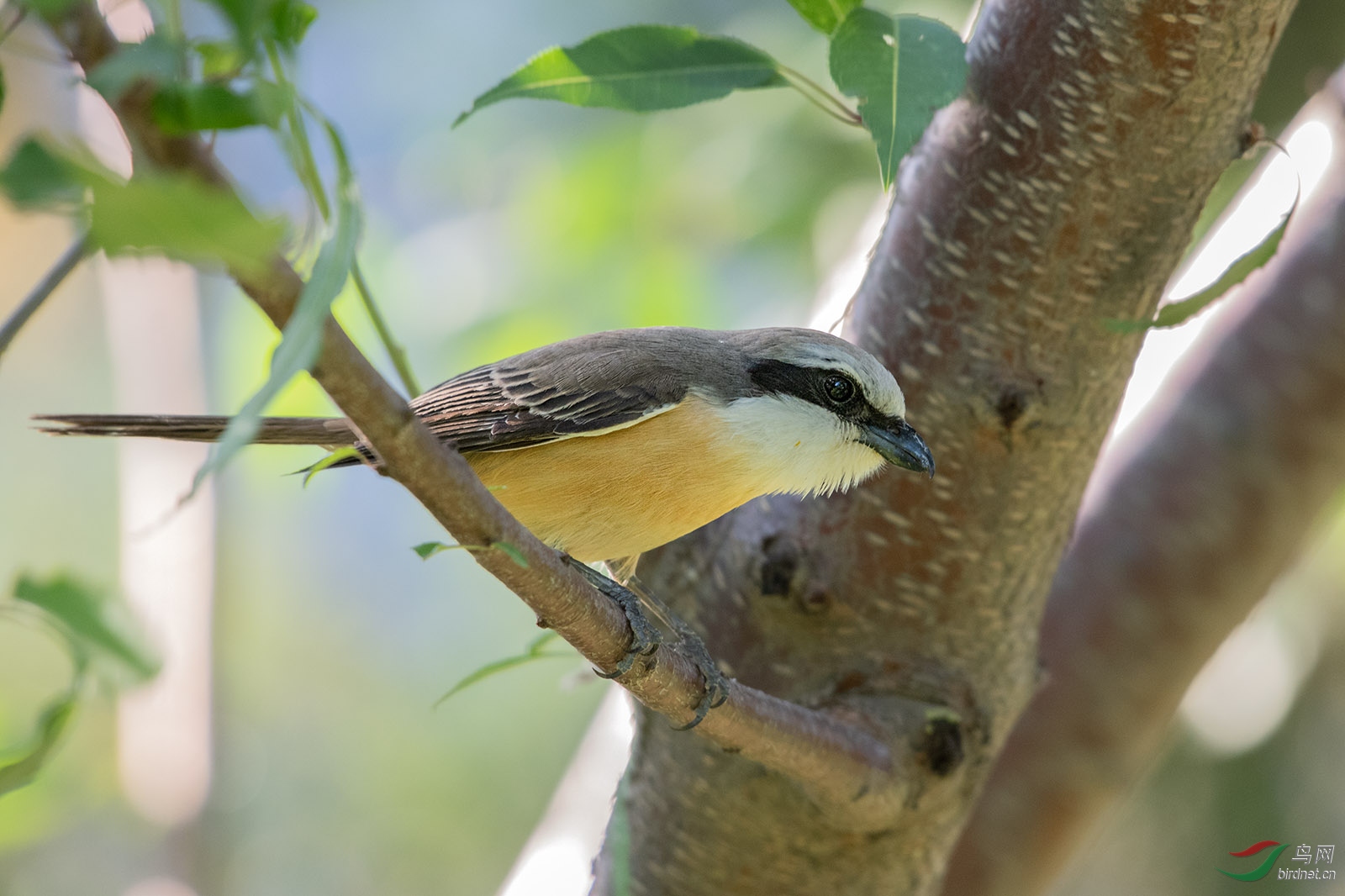 DSC_4675.jpg
