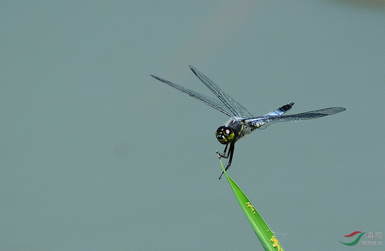 DSC_5330.JPG