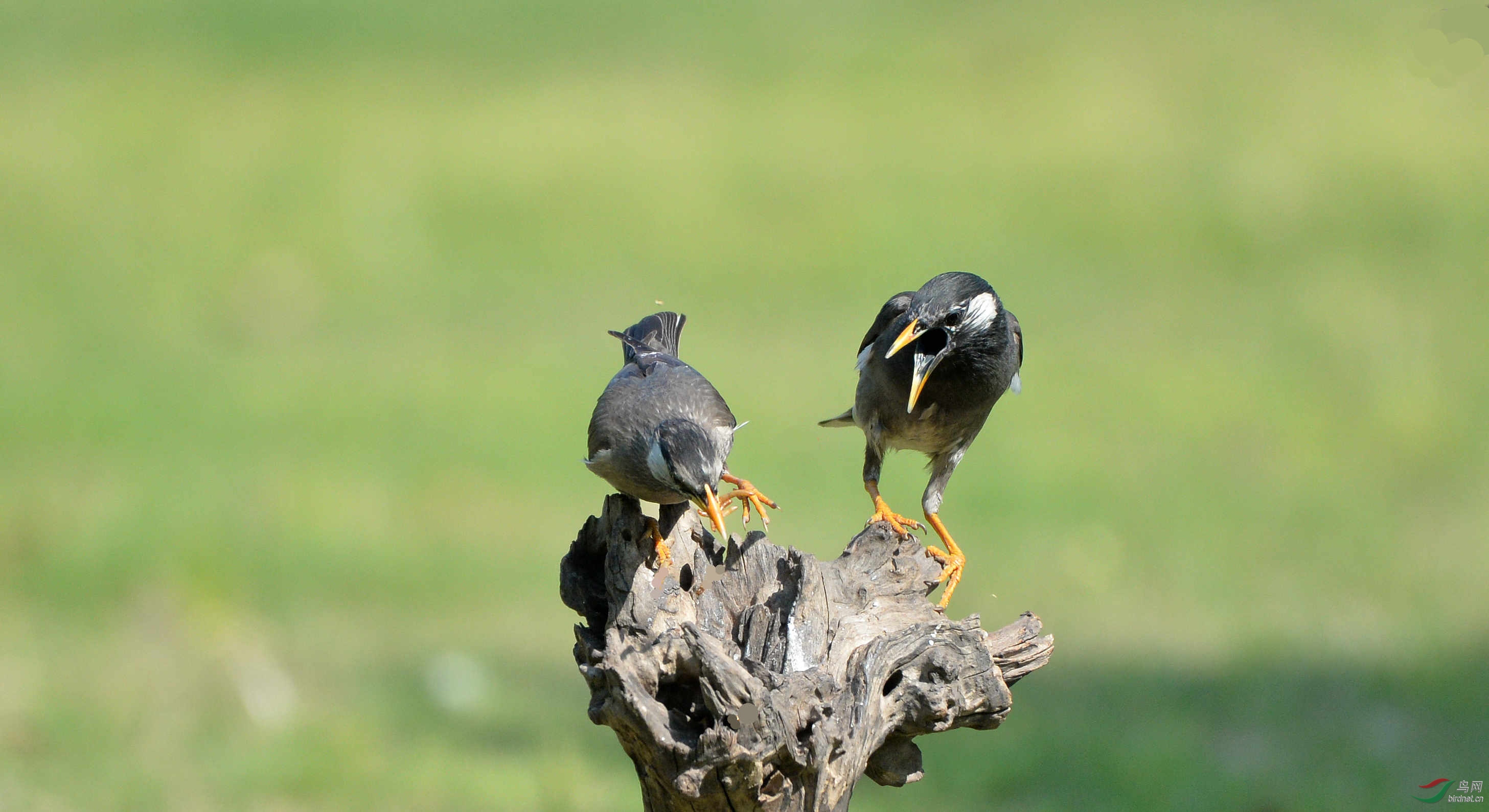 DSC_6441.JPG
