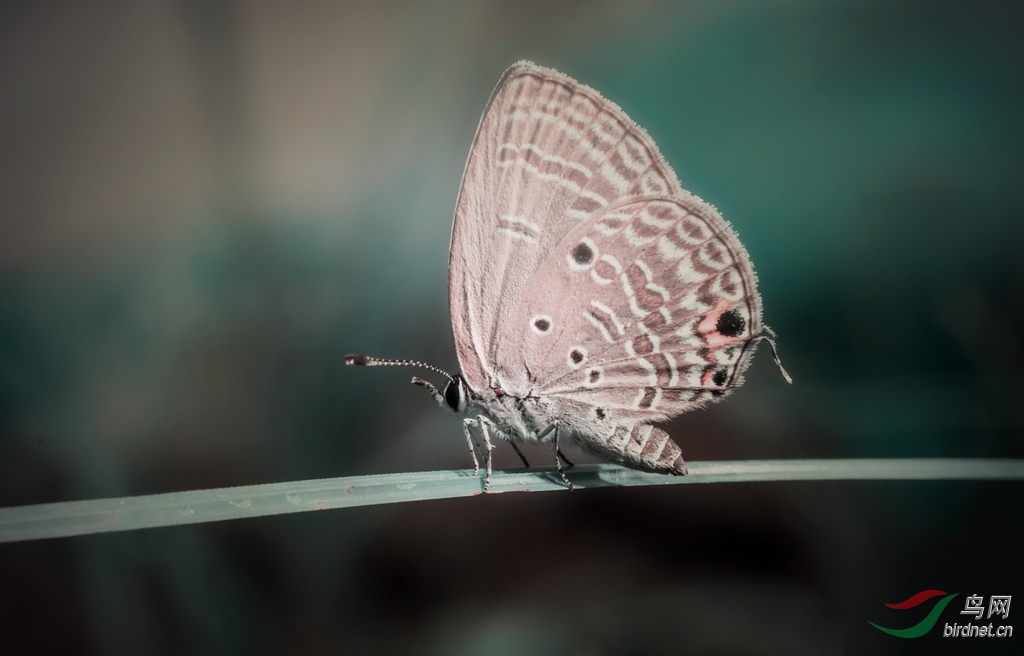΢��ͼƬ_20190522154331.jpg