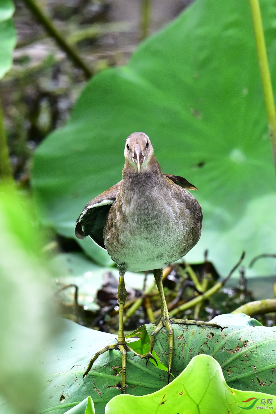 DSC_1029.JPG