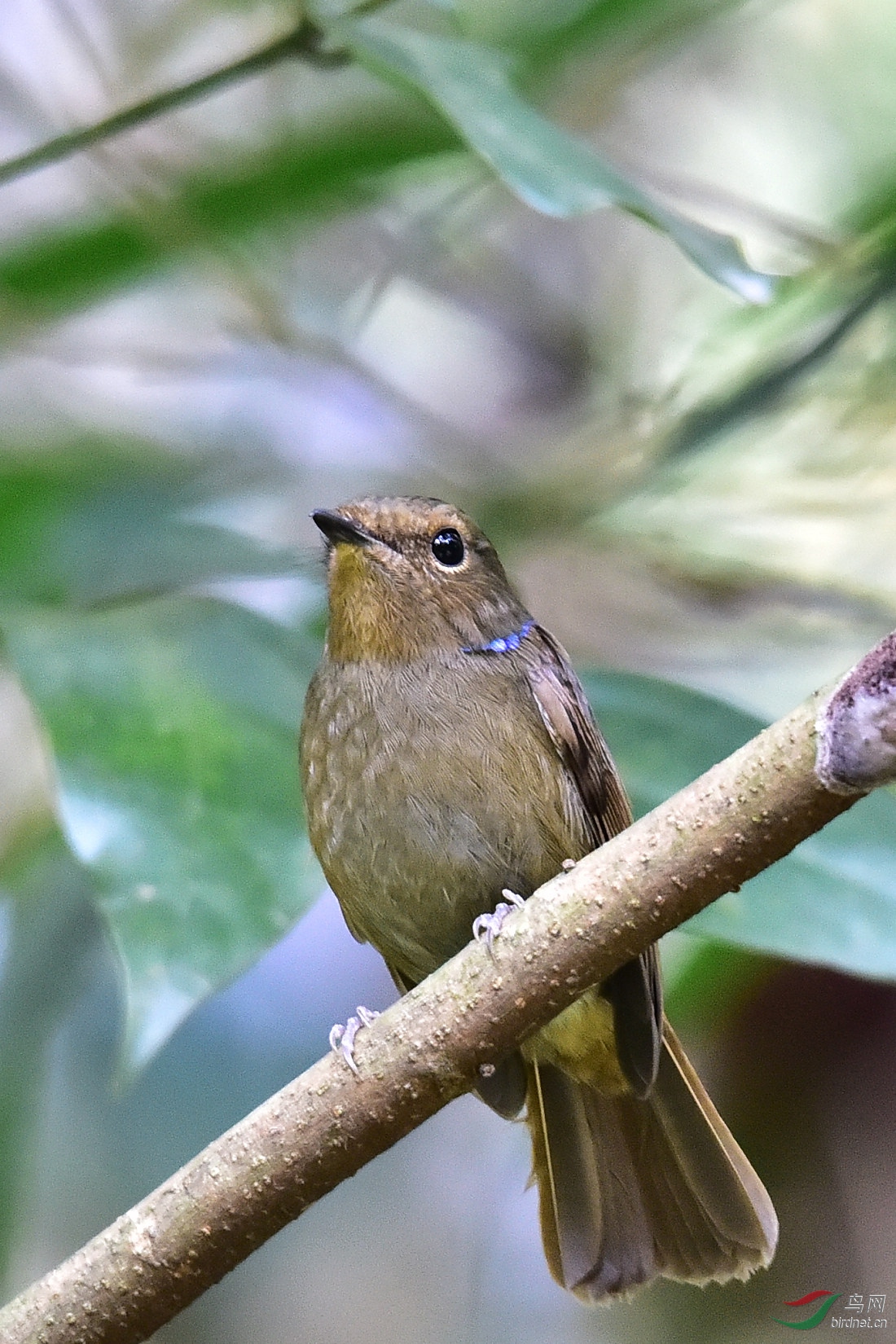 DSC_0627.JPG