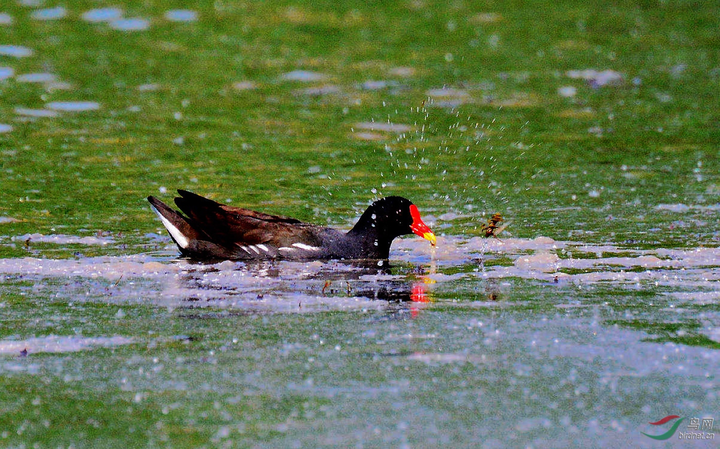 DSC_3200.JPG