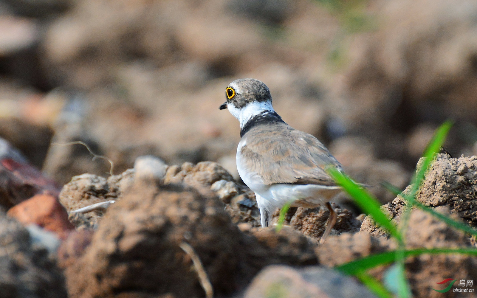 DSC_3575.JPG