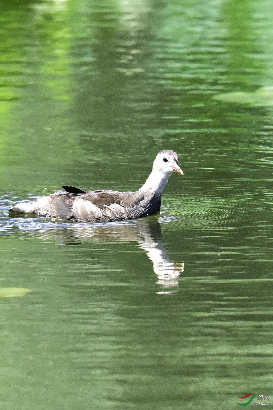 DSC_1038.JPG