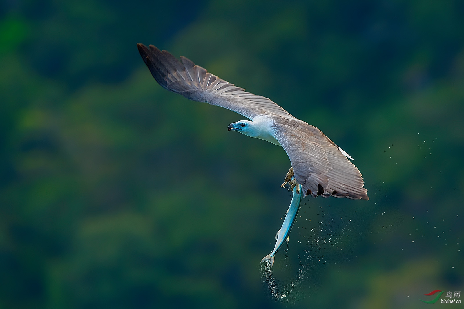 _DSC2079-1.jpg