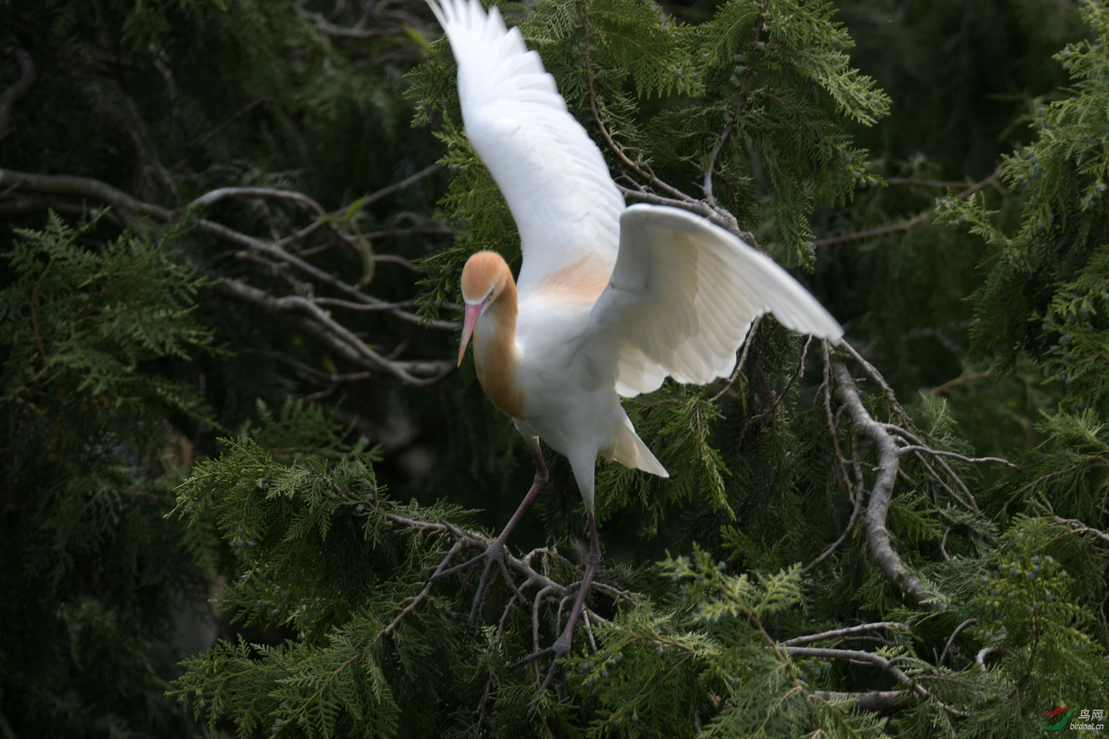 D50_2133.jpg