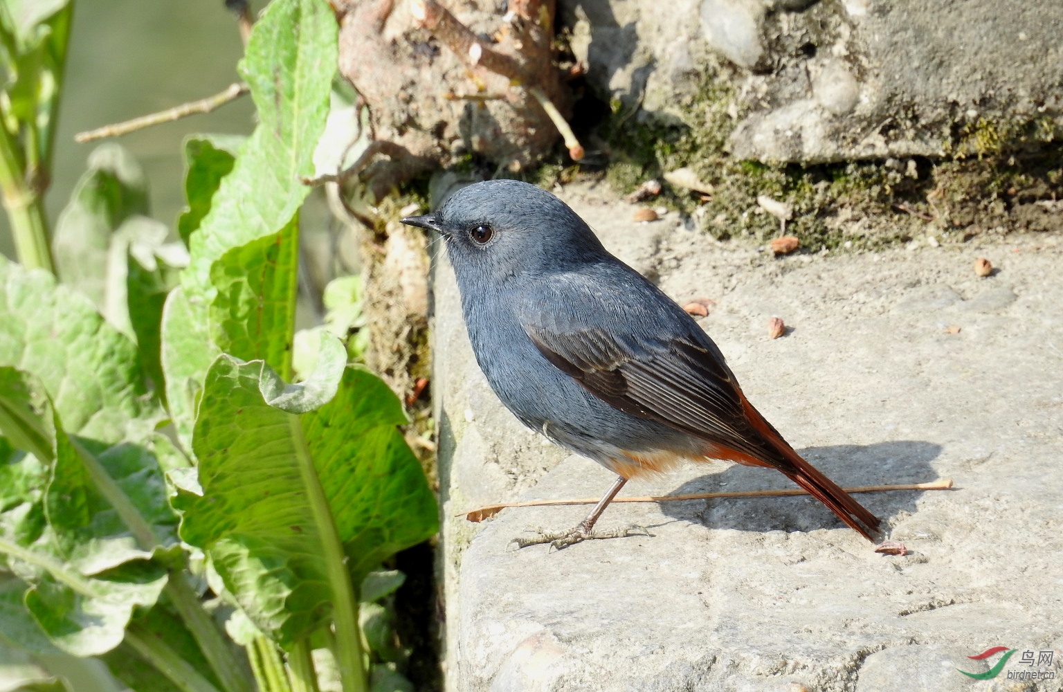 DSCN5127.JPG