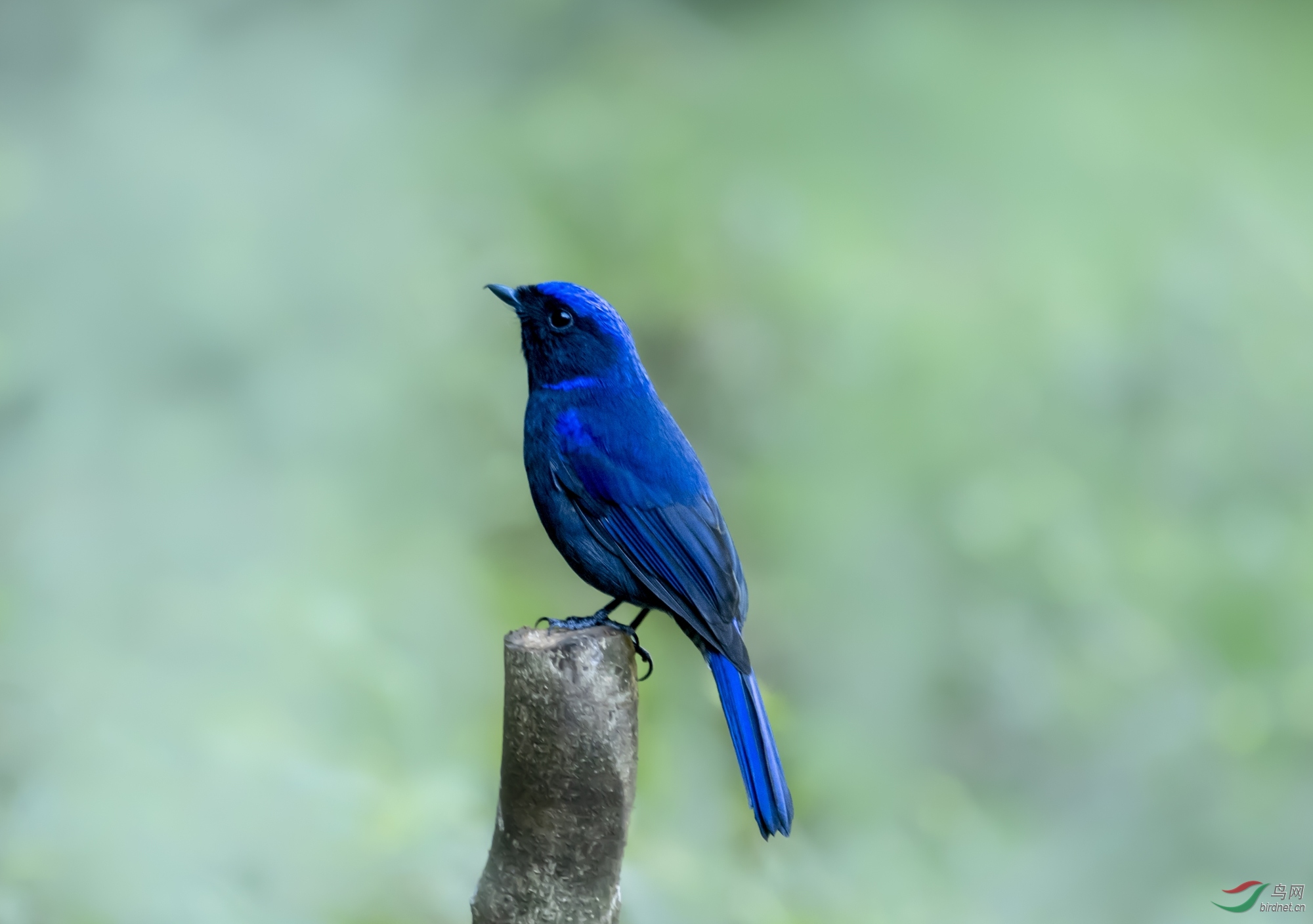 DSC_9064_����.jpg