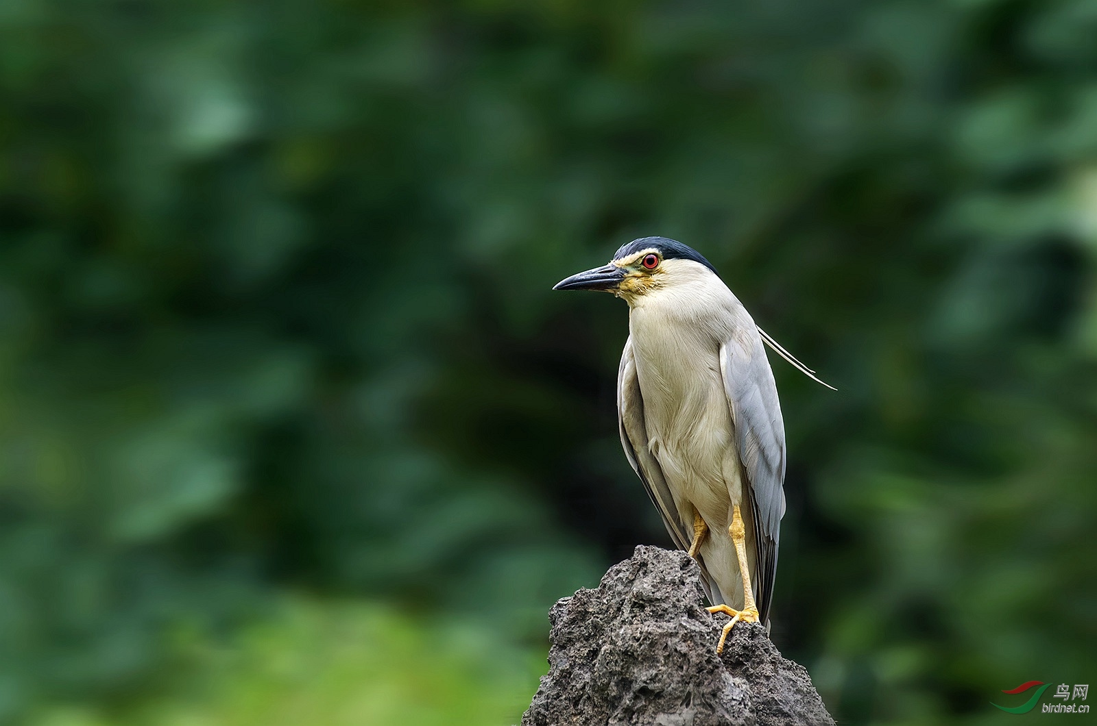 1557.jpg