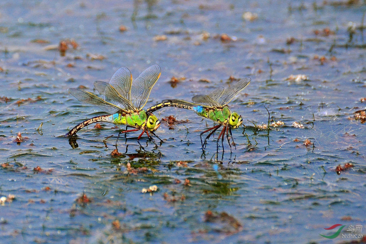 DSC_2912.JPG